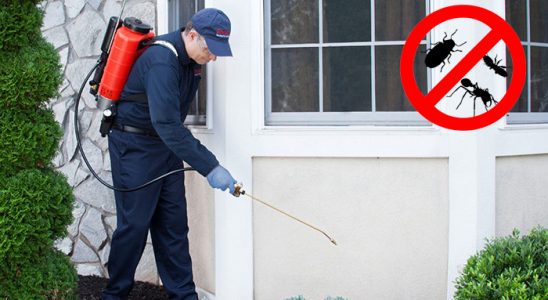 Bolu Böcek İlaçlama böcek ilaçlama ve haşere kontrolü — ilaclama-tr.com